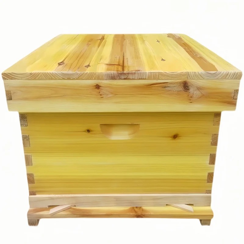 Beehive Frame Wax - Colmeia de abelha em caixa de