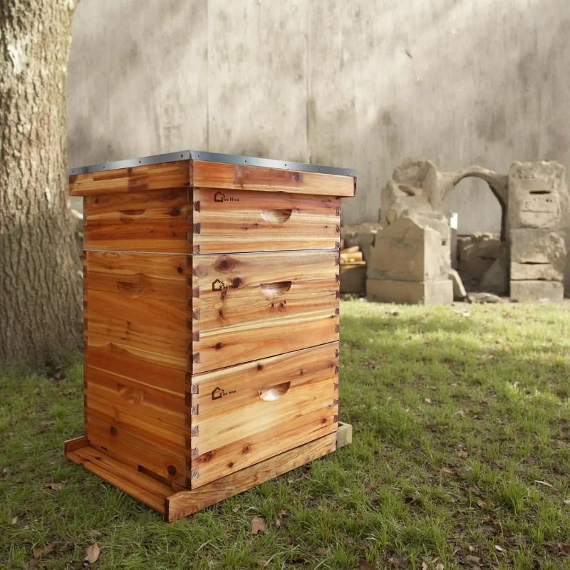 Kit Completo de Colmeia de 10  - Beehive Frame Wax avaliação e preço