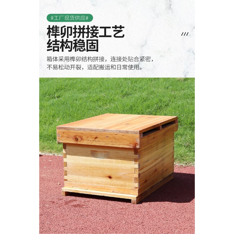 Caixa de Colmeia de Madeira de - Beehive Frame Wax avaliação e preço